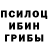 Псилоцибиновые грибы GOLDEN TEACHER Sebiyye Abasova
