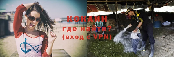 гидра Абаза
