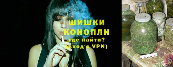 гидра Абаза