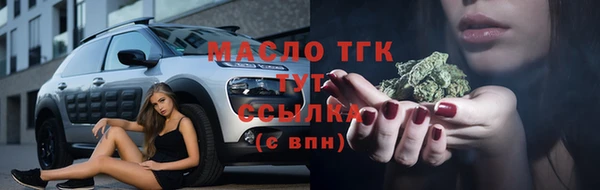 гидра Абаза
