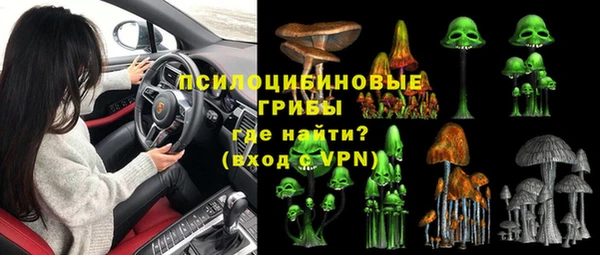 СК Абдулино